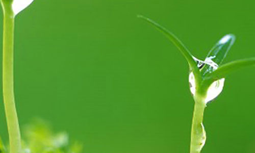 小项目选择与实施,哪些小项目值得一试? 小项目选择与实施,哪些小项目值得一试?